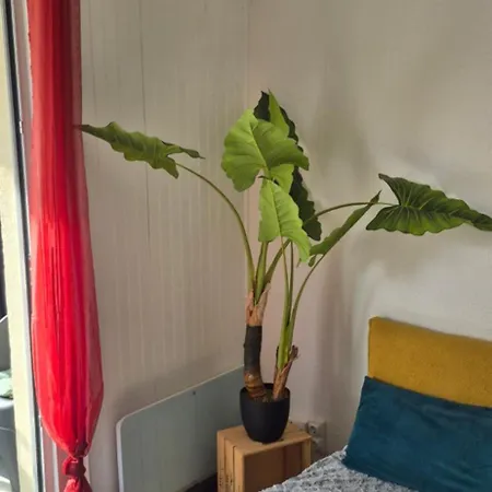 Capri Bali C51, T4 Bien Equipe, Clim, Parking Petite Vue Apartmán *